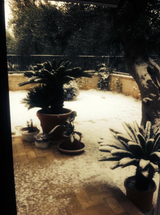 Les Fleurs B&B Bari Exterior foto